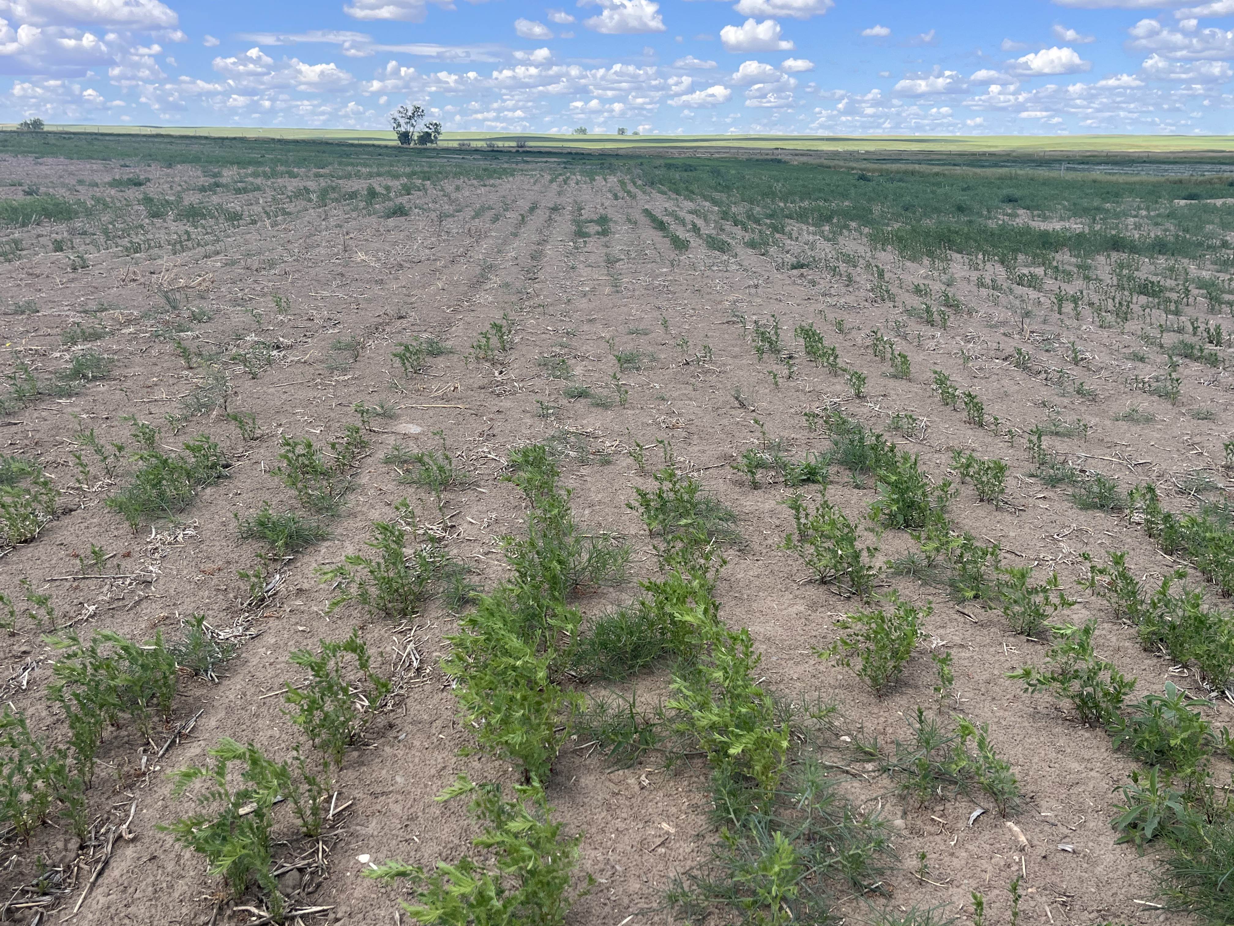 Climate change evidence too prevalent to ignore