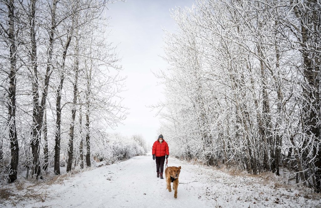 Western and Northern Canada braces for chilly, snowy Christmas