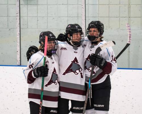 Courtenay, B.C., product Jenna Walker, right, celebrates with her Assiniboine College Cougar teammates after scoring a goal. (Submitted)