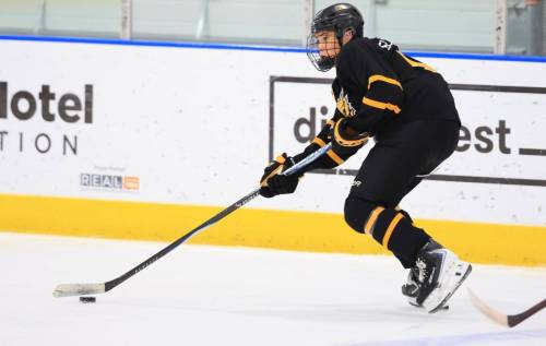 Daniel Flett-Neapew of the Brandon Wheat Kings ranks second in team scoring with 27 goals and 56 points in 19 games. (Submitted)