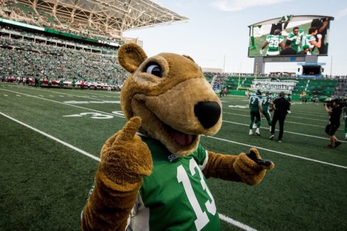 Gainer the Gopher greets the crowd during first half CFL action between the Saskatchewan Roughriders and the Calgary Stampeders in Regina on Saturday, July 6, 2019. THE CANADIAN PRESS/Matt Smith
