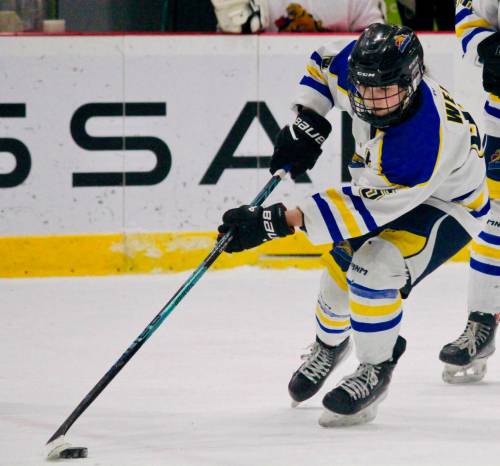 Westman&rsquo;s Lily Wells will be recognized alongside Loulle Jasper, Jaelyn Mann, captain Georgia Koop, Abbey Oliver, Mya Jones, Emma Cornock, Ivy Nelson, Aubree McKinnon, and Maisie Green during senior night on Sunday evening when the Wildcats host the Norman Wild for their final game of the Manitoba Female Hockey League U15 AAA season. (Submitted)