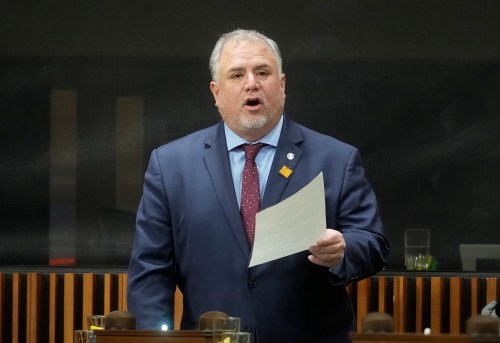 MP for Courtenay-Alberni Gord Johns rises in the House of Commons on Parliament Hill in Ottawa, Friday, Nov. 21, 2025. THE CANADIAN PRESS/Adrian Wyld
