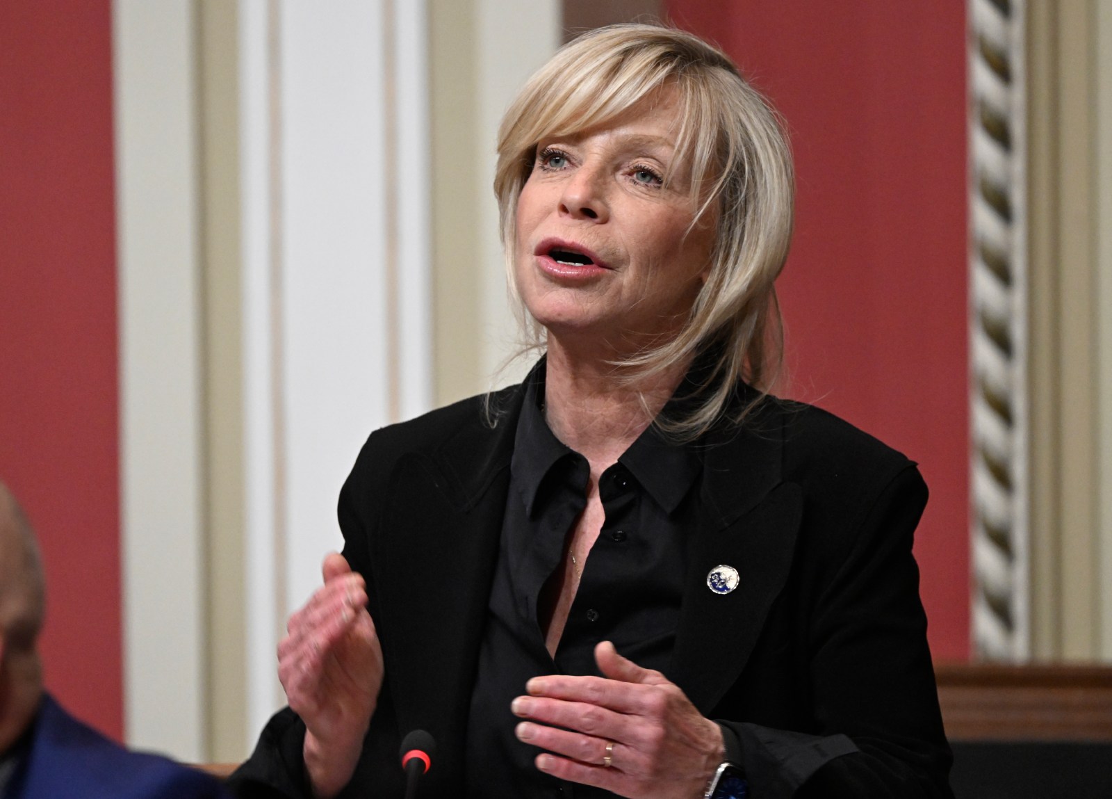 Two Quebec legislature members not running again, including housing minister