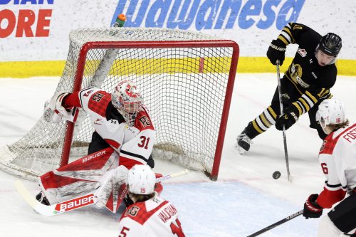 Chase Surkan (11) of the Brandon Wheat Kings tries to get a shot past goalie Joshua Ravensbergen (31) of the Prince George Cougars during WHL action at Assiniboine Credit Union Place on Tuesday evening.
(Tim Smith/The Brandon Sun)