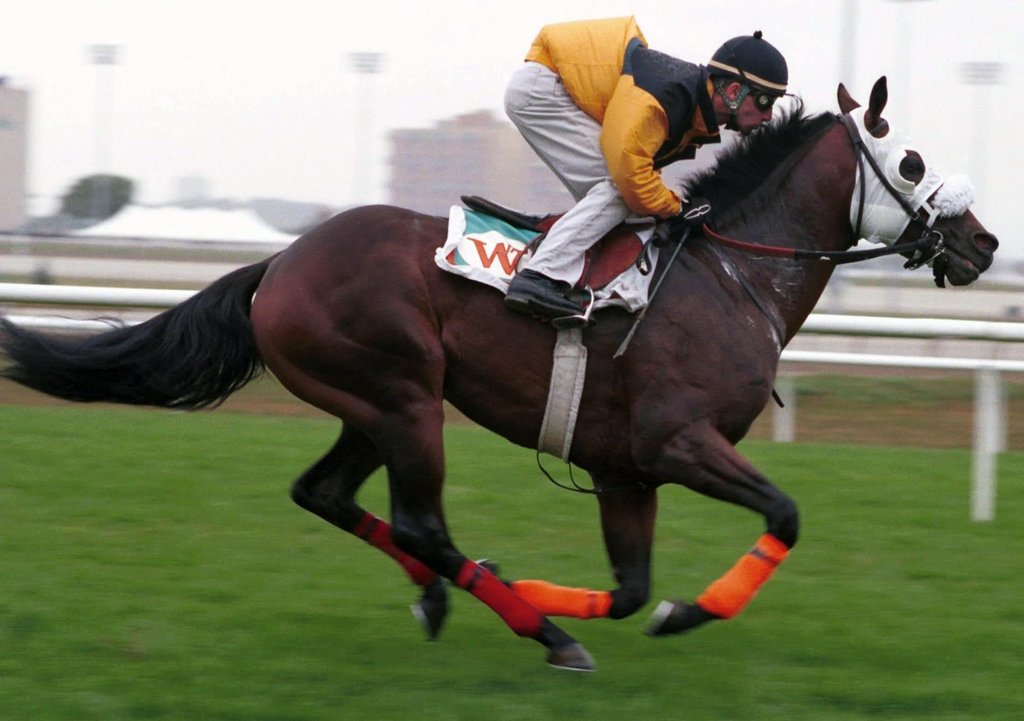 Woodbine Entertainment, New York Racing Association Inc. stage Empire Trillium Series – Brandon Sun