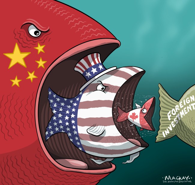 Editorial Cartoon by Graeme MacKay, The Hamilton Spectator – Tuesday September 15, 2026

Canada's Investment Summit leverages Mark Carney's credibility to diversify investment sources, strengthening economic sovereignty and diplomatic ties.

Confidence, Sovereignty, and Diplomacy at the Investment Summit

In an era marked by geopolitical uncertainty and shifting economic alliances, Canada stands poised to leverage its unique position through the Canada Investment Summit. Spearheaded by Mark Carney, this gathering in Toronto is not just a meeting of minds but a strategic pivot towards a future where confidence, sovereignty, and diplomacy converge.

Mark Carney, with his storied career at the helm of the Bank of England and as a pivotal figure in global finance, brings unparalleled credibility. This credibility is a magnet for long-term capital. As noted in the Globe and Mail, the summit aims to transform investor interest into tangible commitments, showcasing Canada's stable and attractive investment climate.

News: Canada taking control of its future, Mark Carney tells new investment gathering  https://www.thestar.com/news/canada/canada-taking-control-of-its-future-mark-carney-tells-new-investment-gathering/article_2c0b14cf-0e01-40c2-bf31-223a1b0b6622.html

Amidst the backdrop of U.S. trade tensions and China's global economic maneuvers, Canada's strategy of diversifying its investment sources is paramount. By attracting a wide array of global investors, Canada can mitigate the risks of over-dependence on a single partner, thus strengthening its economic sovereignty. This approach aligns with the insights from Policy Magazine on the 
