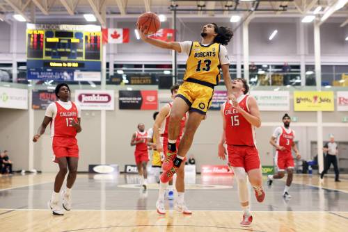 Munroop Gill was named Canada West rookie of the year following the 2025-26 men&rsquo;s basketball season. (Tim Smith/The Brandon Sun)