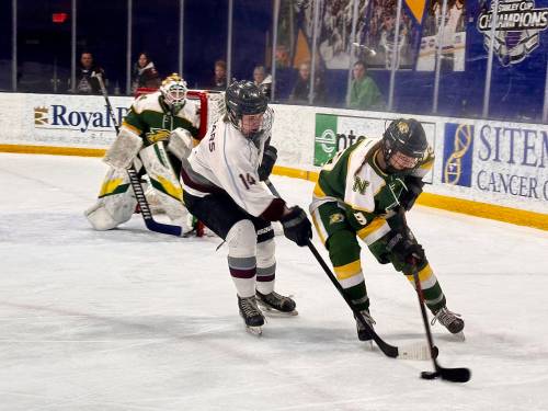 Assiniboine College Cougars forward Jenna Walker (14) scored two goals in a 5-0 win over Northern Michigan at the ACHA women&rsquo;s Division 2 hockey national championship on Tuesday. The Cougars are in the semifinals today. (Photo courtesy Assiniboine College)