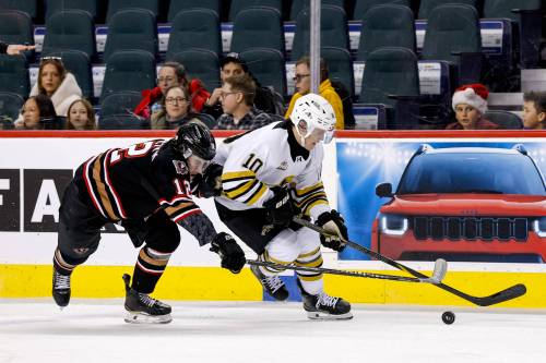 Brandon Wheat Kings captain Caleb Hadland skates along the boards with the puck as Calgary Hitmen forward Wyatt Pisarczyk (12) tries to defend during Western Hockey League action at Scotiabank Saddledome on Dec. 19. Brandon won 3-2 in overtime that night. (Jenn Pierce/Calgary Hitmen)