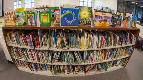FILE - Books are displayed on shelves in an elementary school library in suburban Atlanta on Aug. 18, 2023. (AP Photo/Hakim Wright Sr., File)