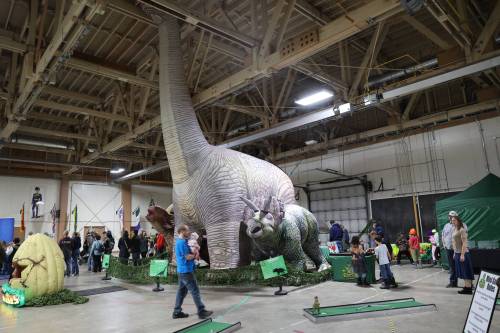 The dinosaur zone was a major attraction during Springfest at CFB Shilo on Saturday. (Abiola Odutola/The Brandon Sun)