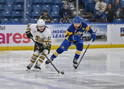 Brandon Wheat Kings forward Jordan Gavin (13) carries the puck as Saskatoon Blades defenceman Jordan Martin (3) pursues during Western Hockey League action at SaskTel Centre on March 18. Gavin had a blend of offence and defensive awareness in his game. (Rick Elvin/Saskatoon Blades)
