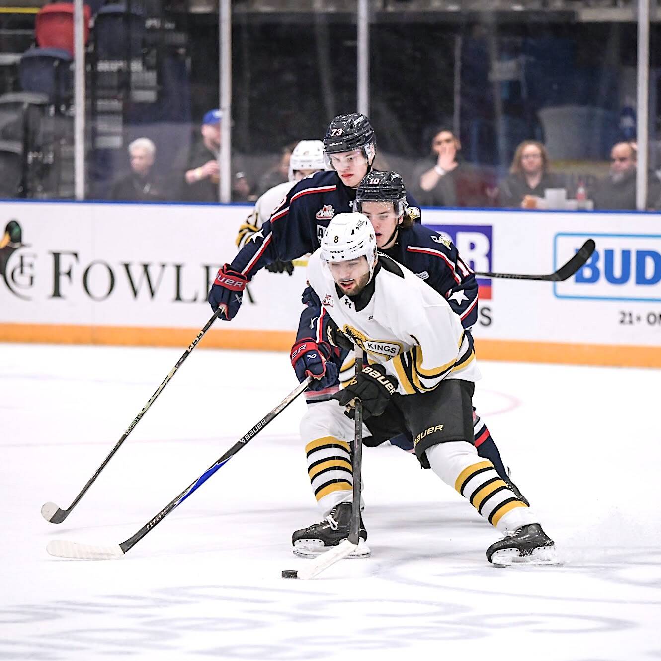 Wheat Kings go under microscope