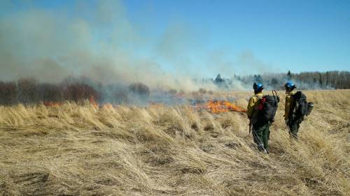 Staff on the ground earlier this week near Lake Audy during a prescribed burn started by Parks Canada in Riding Mountain National Park. (Supplied)