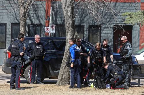 Brandon police search a backpack in Princess Park on Thursday after responding to a domestic violence call. (Tim Smith/The Brandon Sun)