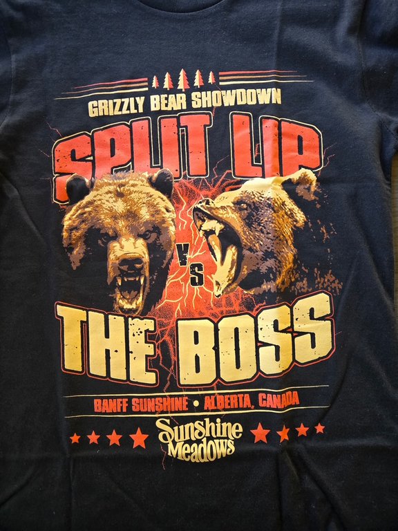 ‘The Al Capone of Banff National Park’: veteran grizzly bear ‘The Boss’ still on top