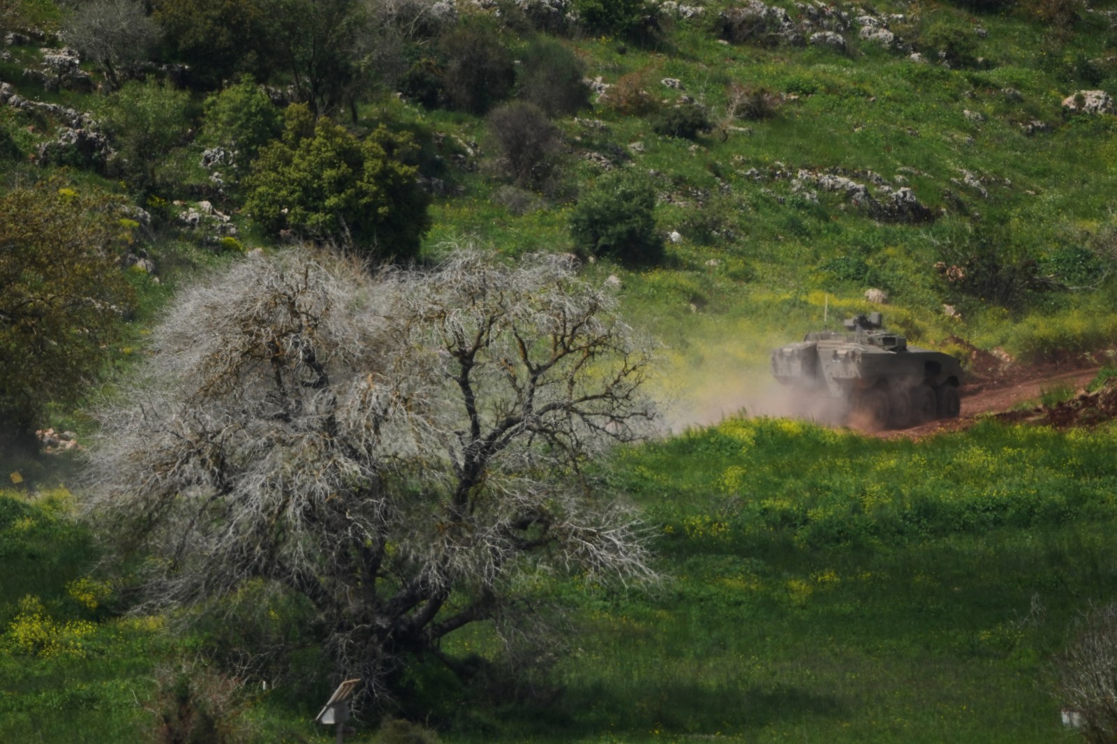 Ontario family mourns Canadian man killed in Israeli attack in Lebanon