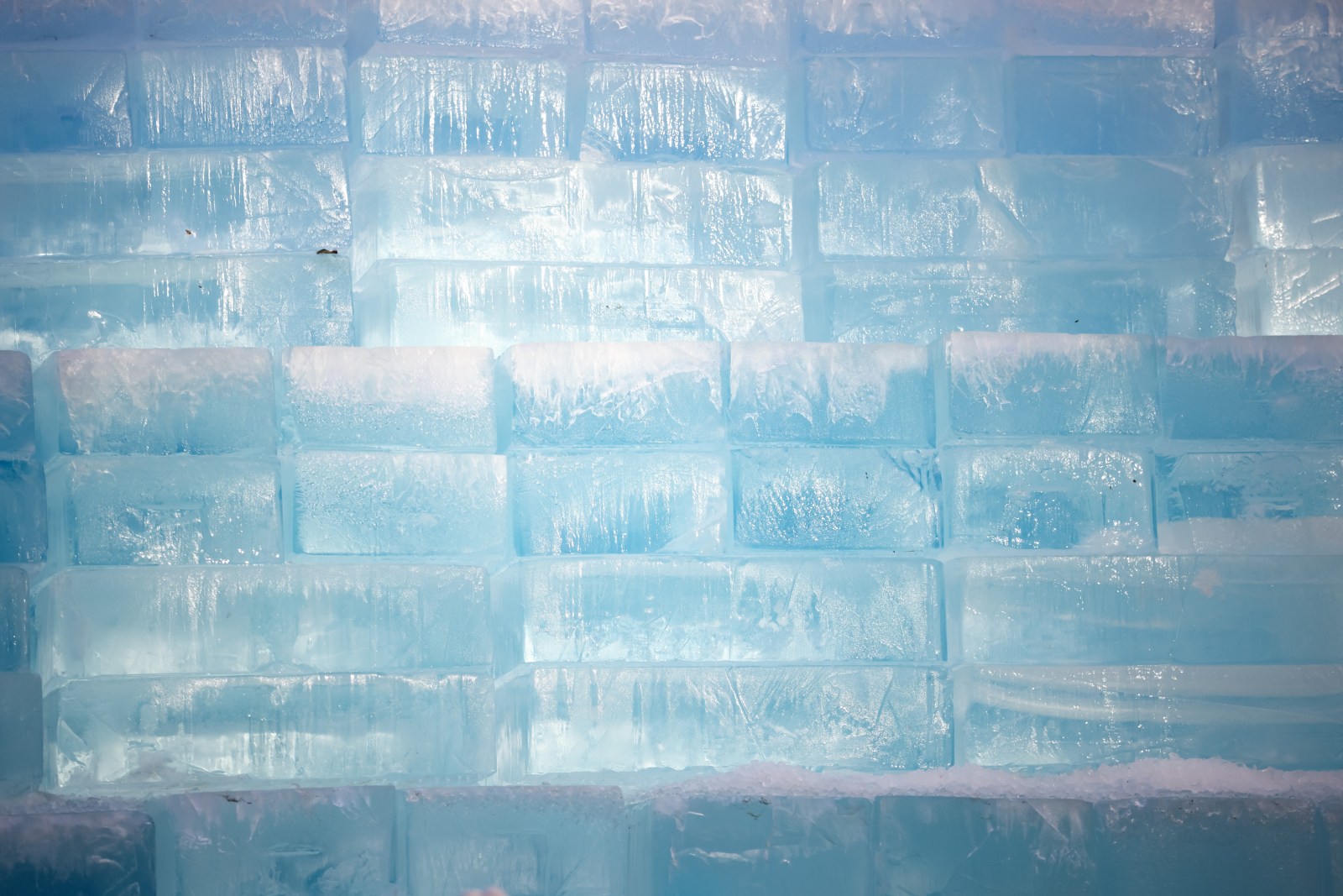 Drake’s ice sculpture draws unruly crowds creating ‘dangerous situation’: Toronto police