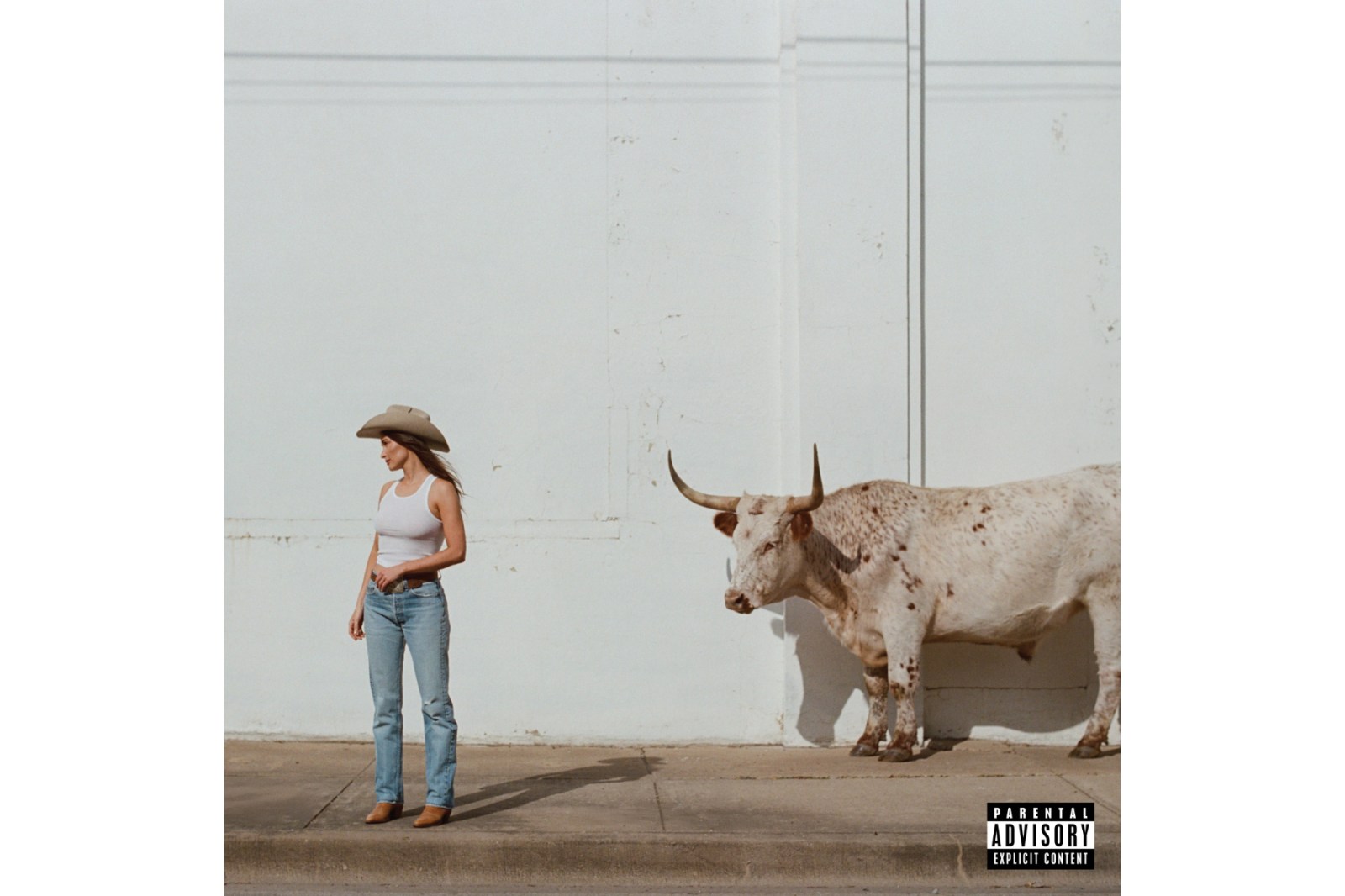 Music Review: Kacey Musgraves’ ‘Middle of Nowhere’ is where you’ll want to be