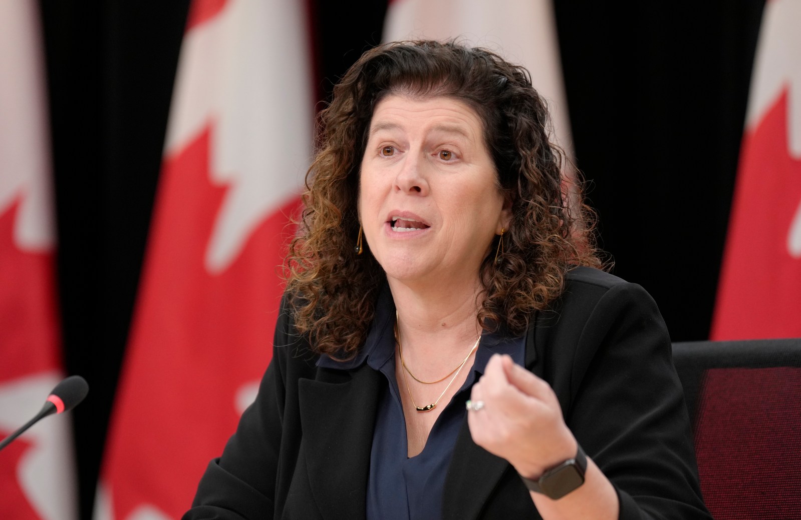 Auditor general reports on avian flu vaccines, First Nations funding