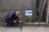 Adam Barnes, founder of Rewilders Toronto, a community-based ecological initiative, tends to a planted pollinator garden in Toronto, on Thursday, April 16, 2026. THE CANADIAN PRESS/Chris Young