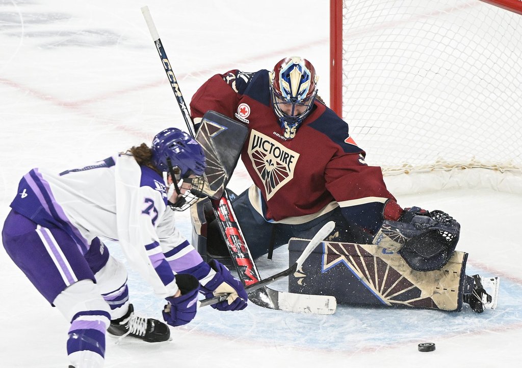 PWHL suspends Curl-Salemme after pair of incidents in Minnesota victory over Montréal