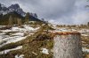 A clear cut fire break, part of the mitigation steps being taken, is pictured in Canmore, Alta., on Thursday, March 5, 2026. THE CANADIAN PRESS/Jeff McIntosh