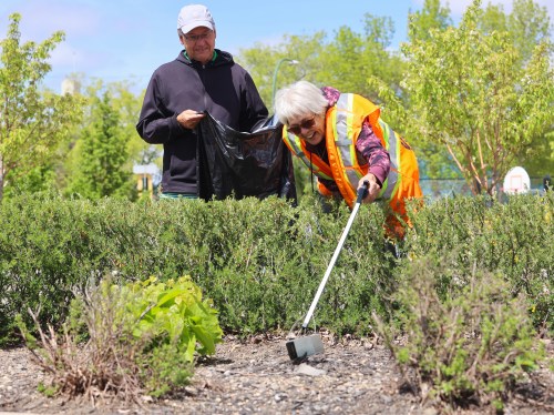 Brandon's Deb Gray picks up litter in the flower bed of the downtown YMCA, while her husband Brent stands by with a garbage bag, during the city's third annual downtown spring cleanup in 2024. This year's effort happens today. (Michele McDougall/The Brandon Sun files)