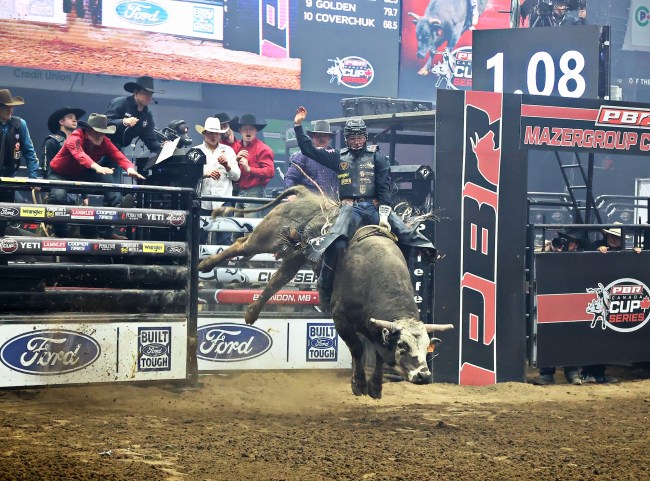 Moosey jumps and twists in the air as bull rider Chanse Switzer hangs on tight during the second night of PBR Canada’s Mazergroup Chute Out at Assiniboine Credit Union Place on Saturday. Moose won the battle and Switzer didn't get a score. (Perry Bergson/The Brandon Sun)