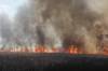 A grass fire burns on Friday afternoon south of Brandon. The fire started just east of Highway 10 and south of Glencarnock Road. It spread eastward threatening homes in the area. Firefighters and volunteers battled the blaze throughout the afternoon. (Tim Smith/The Brandon Sun)