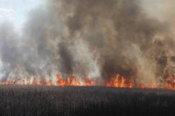 A grass fire burns on Friday afternoon south of Brandon. The fire started just east of Highway 10 and south of Glencarnock Road. It spread eastward threatening homes in the area. Firefighters and volunteers battled the blaze throughout the afternoon. (Tim Smith/The Brandon Sun)