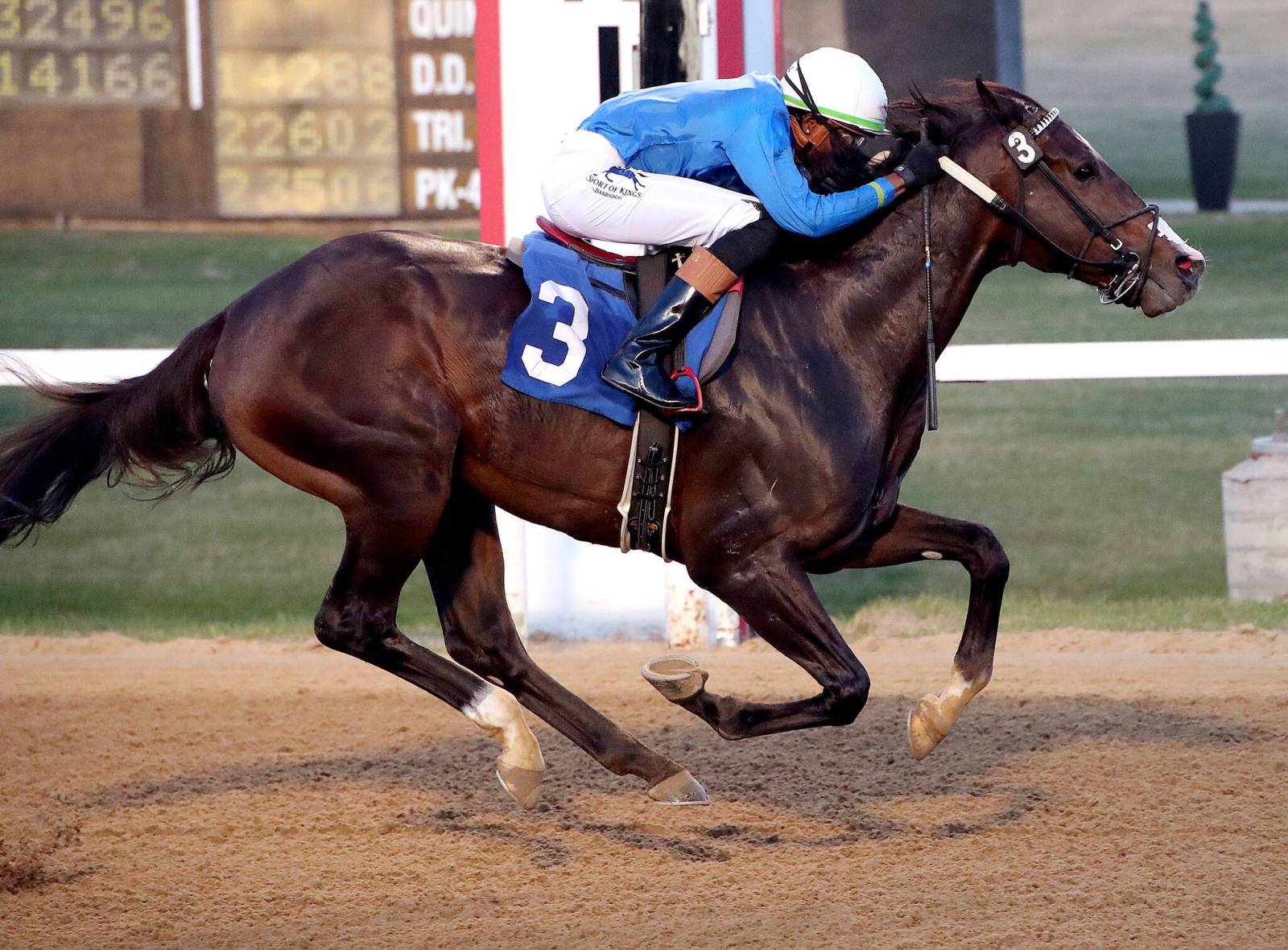 Jockey Whitehall hot out of the gates