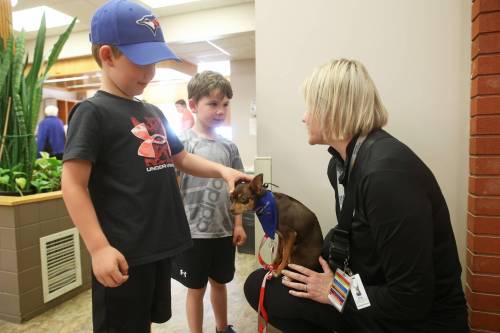 Brothers Carter and Andre Hotel visit with Vinny, a certified therapy dog, and PATDogs certified therapy dog handler Emmy Elliot, during a doctor's appointment at Brandon Clinic on Tuesday. (Tim Smith/The Brandon Sun)