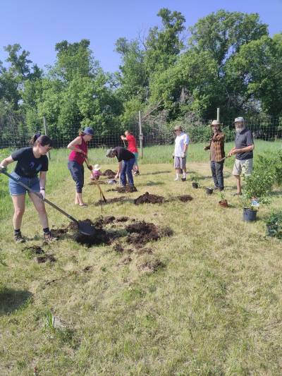 Everyone is welcome to come and join the orchard planting group at the Assiniboine Food Forest Blossom Festival on Sunday. (Supplied)