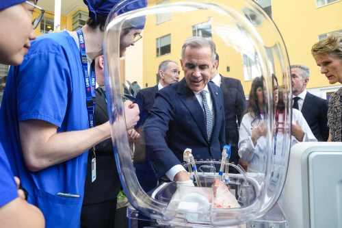 Prime Minister Mark Carney inspects a pig's lungs during an AI demonstration as he visits Toronto General Hospital on Thursday, June 4 2026. THE CANADIAN PRESS/Chris Young
