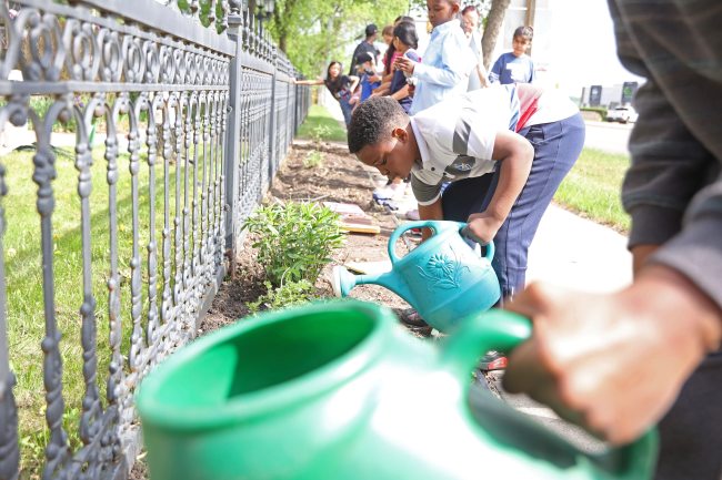 Godswealth Roberts, a Grade 3 student in Angela Wilson’s Grade 2-3 class at Betty Gibson School, waters a freshly planted flower as he and classmates plant in the children’s garden bordering 18th Street at the Daly House Museum on Tuesday. Three groups of students from Betty Gibson are planting at the Daly House this week. Betty Gibson Building Student Success with Indigenous Parents (BSSIP) worker Vanessa Pascal organized the planting for the classes, which is in its fourth year. (Tim Smith/The Brandon Sun)