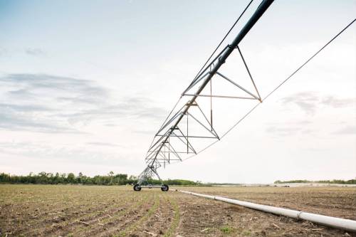 Rachael Proden said a quarter mile worth of copper was stripped from an irrigation pivot and only discovered in early May when farm operations were getting underway at their family farm north of Portage la Prairie. (Supplied)