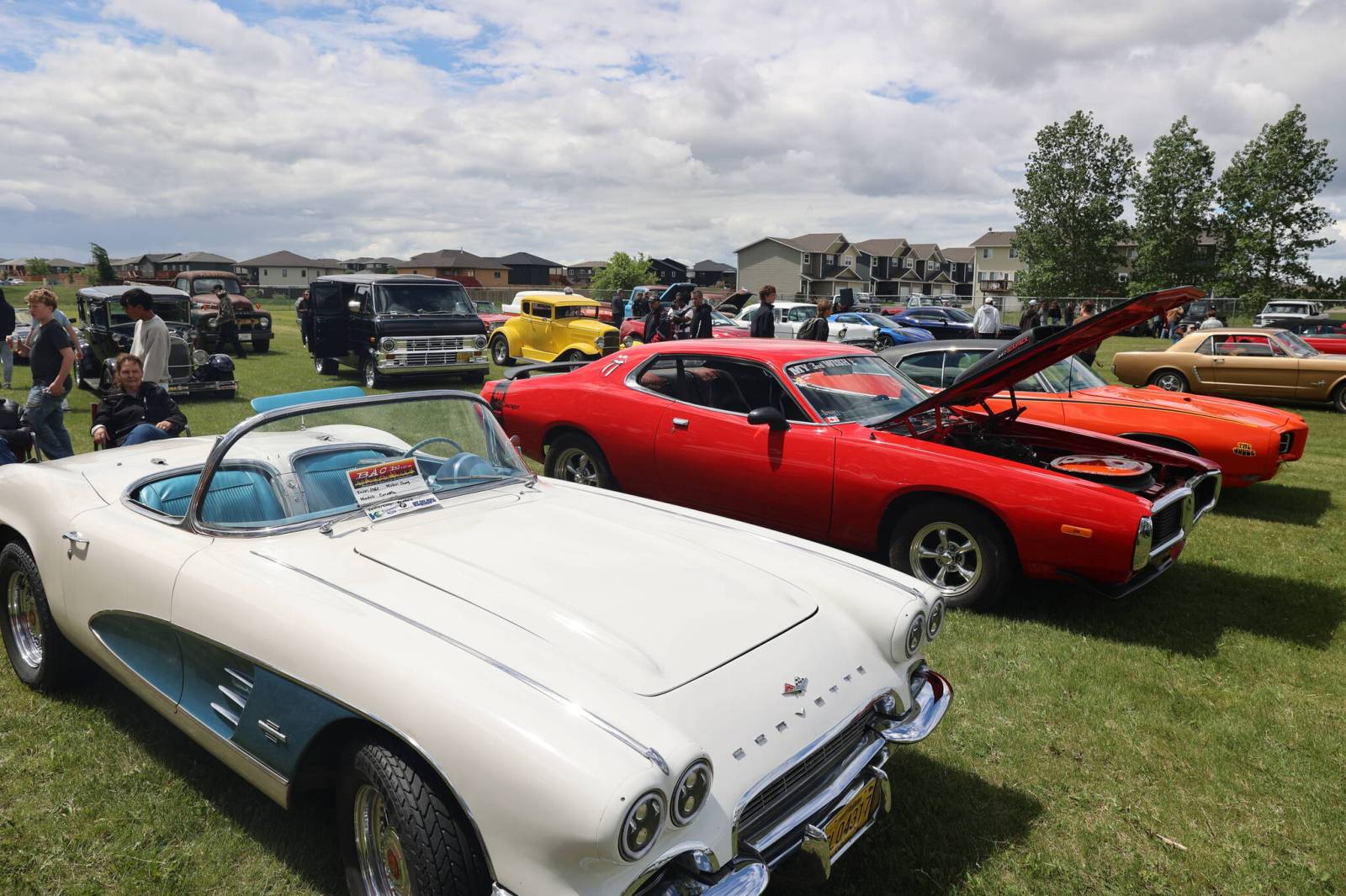 Crocus Plains car show draws crowd despite rain