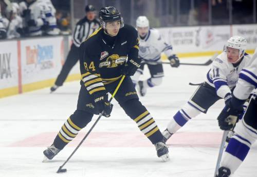 Giorgos Pantelas (84) of the Brandon Wheat Kings plays the puck during WHL action against his homeotwn Victoria Royals at Assiniboine Credit Union Place in January. He showed an increased confidence in his offensive game last season. (Tim Smith/The Brandon Sun)