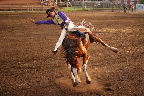 Corbin Boczkowski of Lethbridge, Alta., tries to stay atop his horse while competing in the novice bareback event at the opening go-round of the 2026 Manitoba Threshermen’s Reunion & Stampede rodeo on Thursday evening. (Tim Smith/The Brandon Sun)
