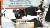 Calgary Hitmen forward Ryan White celebrates as he hits the ice after scoring on Brandon Wheat Kings goaltender Tyler Plante in the final minute of the third period of Game 5 of the Western Hockey League Eastern Conference semifinals in Brandon on April 15, 2005. The two will now work together on the Wheat Kings staff. (Brandon Sun file photo)