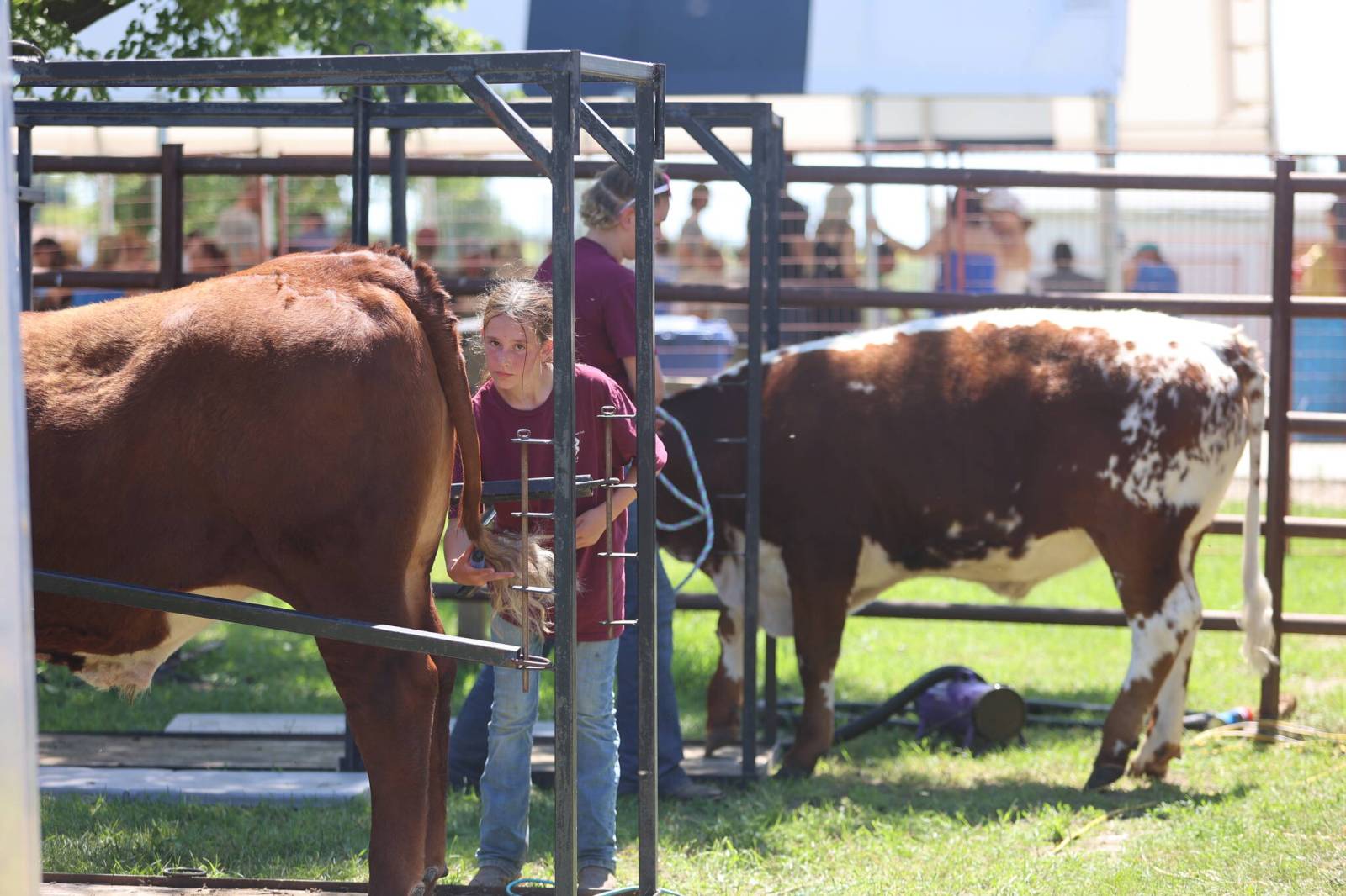 New attractions, familiar favourites draw crowds to Souris festival