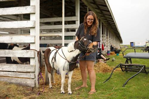 Pam LeBoutillier gets her miniature horse, Dexter, ready so that her daughter, Lily, can compete in the single pleasure driving class at the 138th Annual Strathclair Agricultural Society Fair on Tuesday. (Tim Smith/The Brandon Sun)