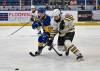 Brandon Wheat Kings defenceman Gio Pantelas (84) and Saskatoon Blades forward Cooper Williams (16) battle for the puck during Western Hockey League action at SaskTel Centre on March 18, 2026. Pantelas will be plying his trade for the Penticton Vees next season but treasures his time in Brandon. (Rick Elvin/Saskatoon Blades)