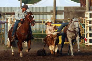 Jace Beierbach of Whitewood, Sask., slides off his horse to grab hold of a steer during the steer wrestling event at the opening go-round of the 2026 Manitoba Threshermen’s Reunion & Stampede rodeo on Thursday evening.