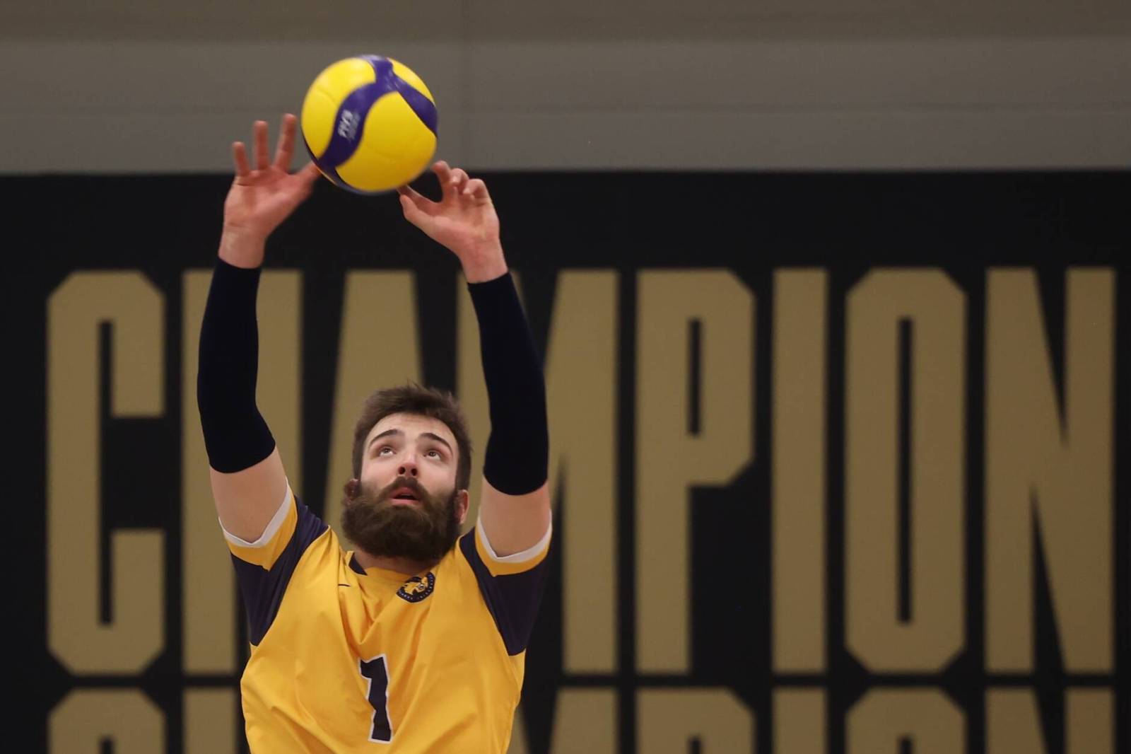 Former Bobcat Love lands Nice contract