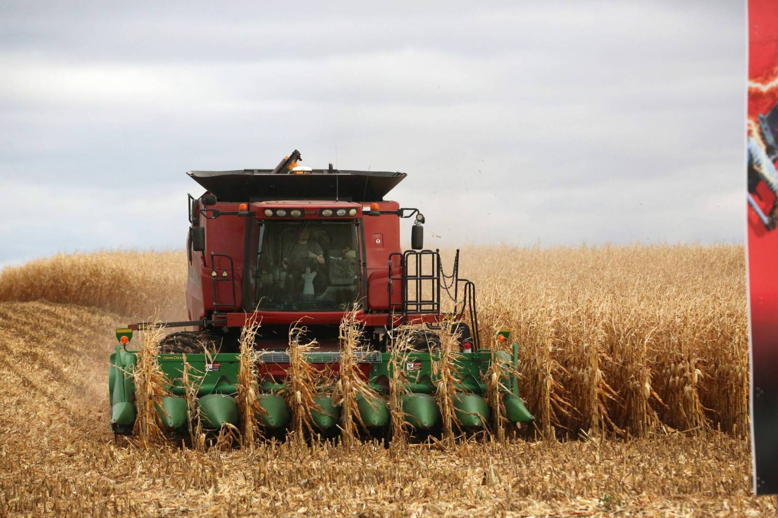 Role of farm advisors overlooked in new food strategy — GLOBAL — Aslikannih