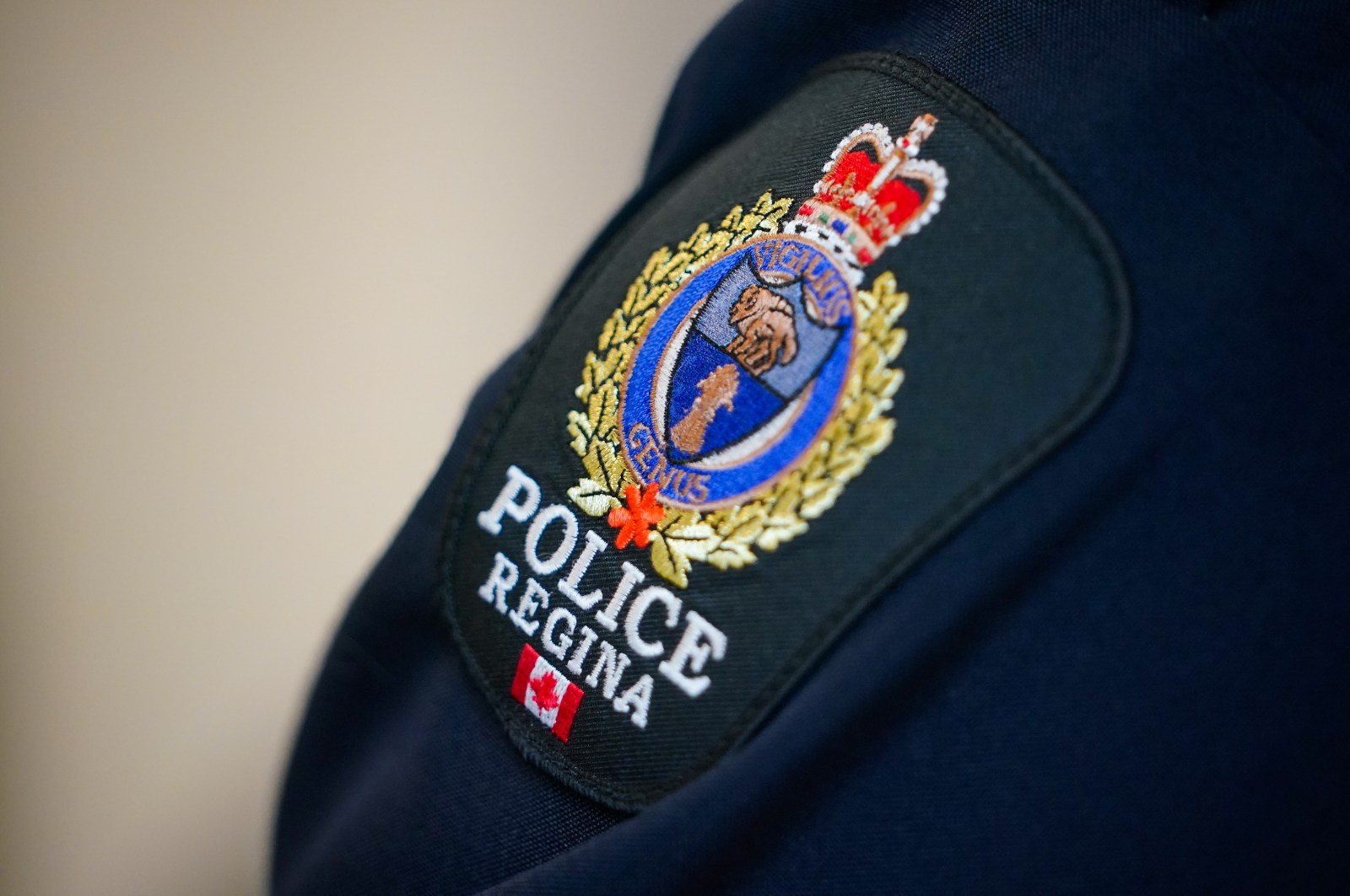 Former Regina police chief appealing dismissal following misconduct investigation