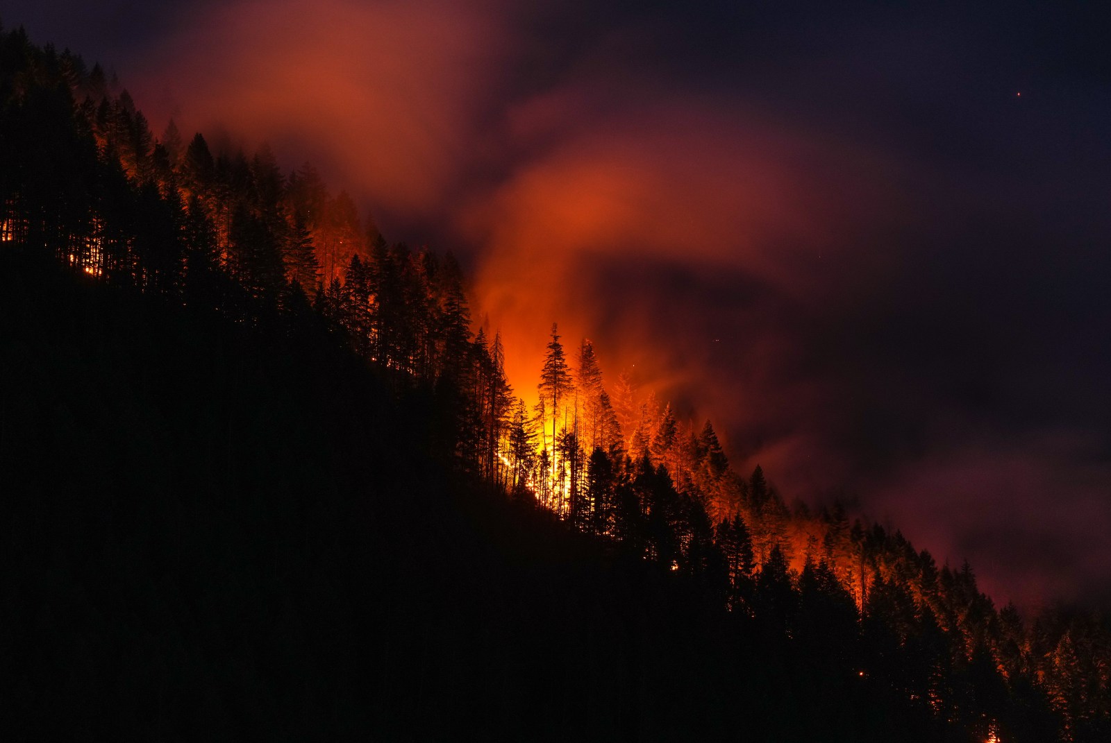 National firefighting agency worth a look